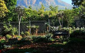 Mia Hills Guest House